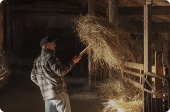 11.12.2025 se potkáme na trhu v Bartošovicích